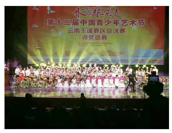 第十二届中国青少年艺术节新平分赛区.jpg