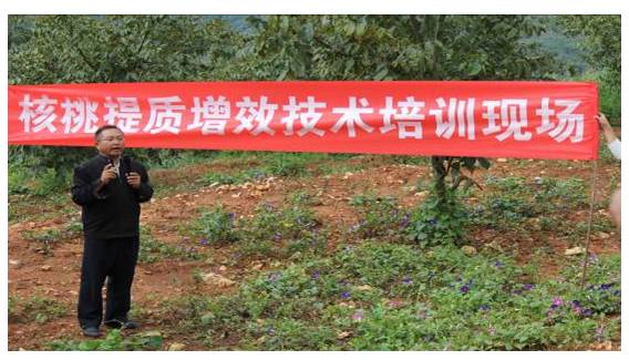 新平县组织参加在华宁县举办的.jpg