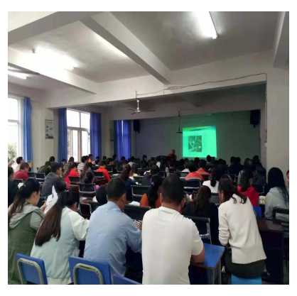 新平县启动2018年度非煤矿山企业.jpg