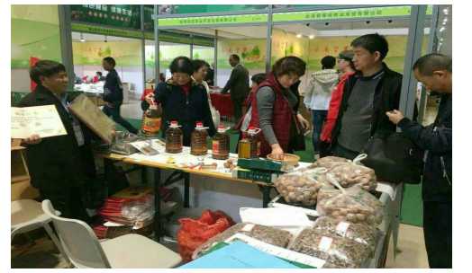 新平核桃展品获2018年云南坚果博览会铜奖.jpg