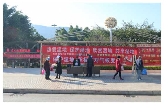 新平县强化湿地保护宣传活动.jpg