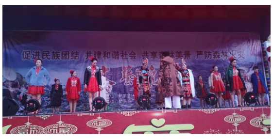 新平县举办森林防火宣传专场文艺晚会.jpg