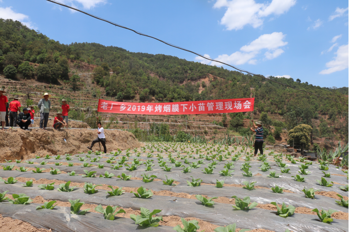 新平县有多少人口_新平县地图