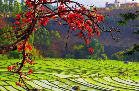 QQ截图20230117175315.png QQ截图20230117175315.png