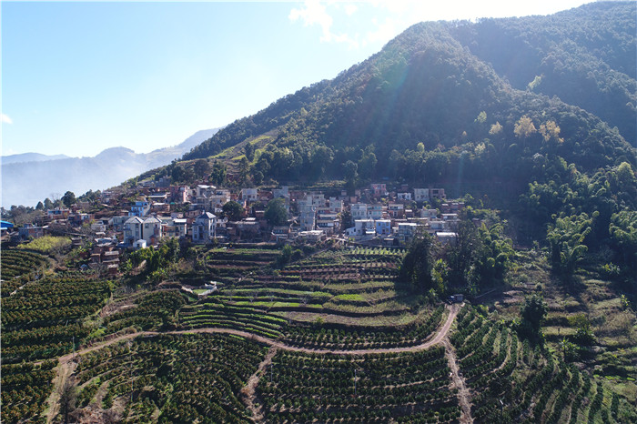 DJI_0271.JPG DJI_0271.JPG
