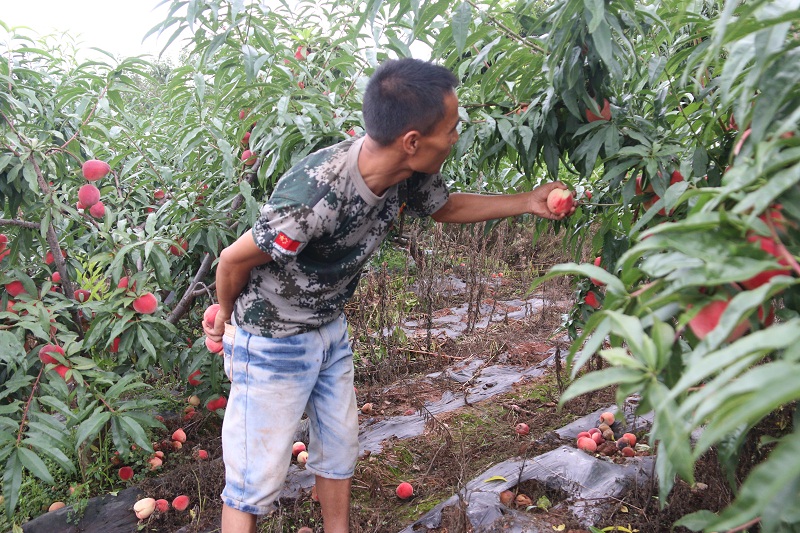 IMG_1654.JPG IMG_1654.JPG