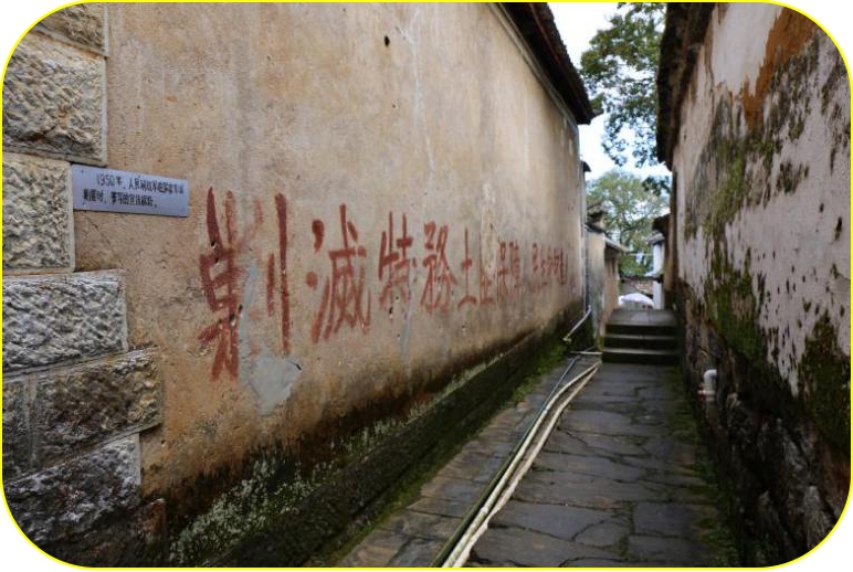 文旅12204.jpg