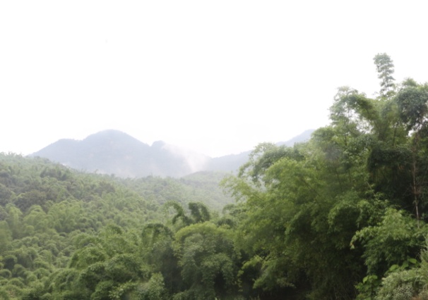文旅13102.jpg