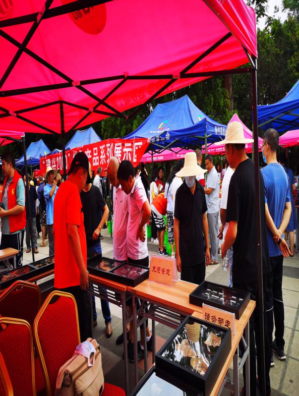 文旅13801.jpg 文旅13801.jpg