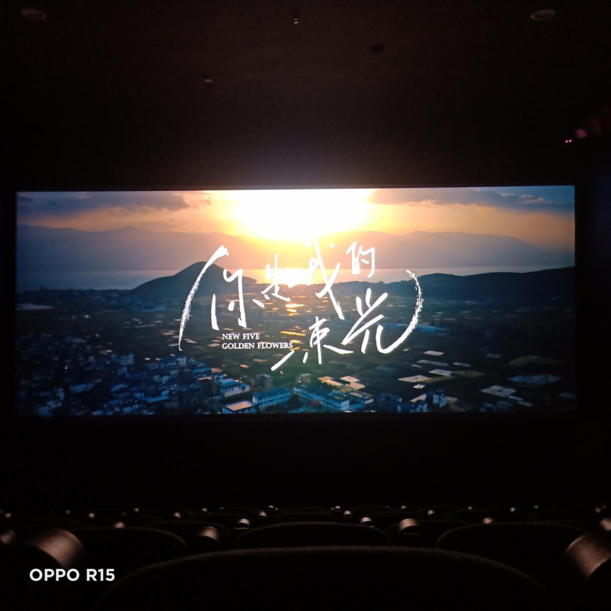 图片1.png