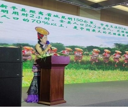 新平文旅13204.jpg