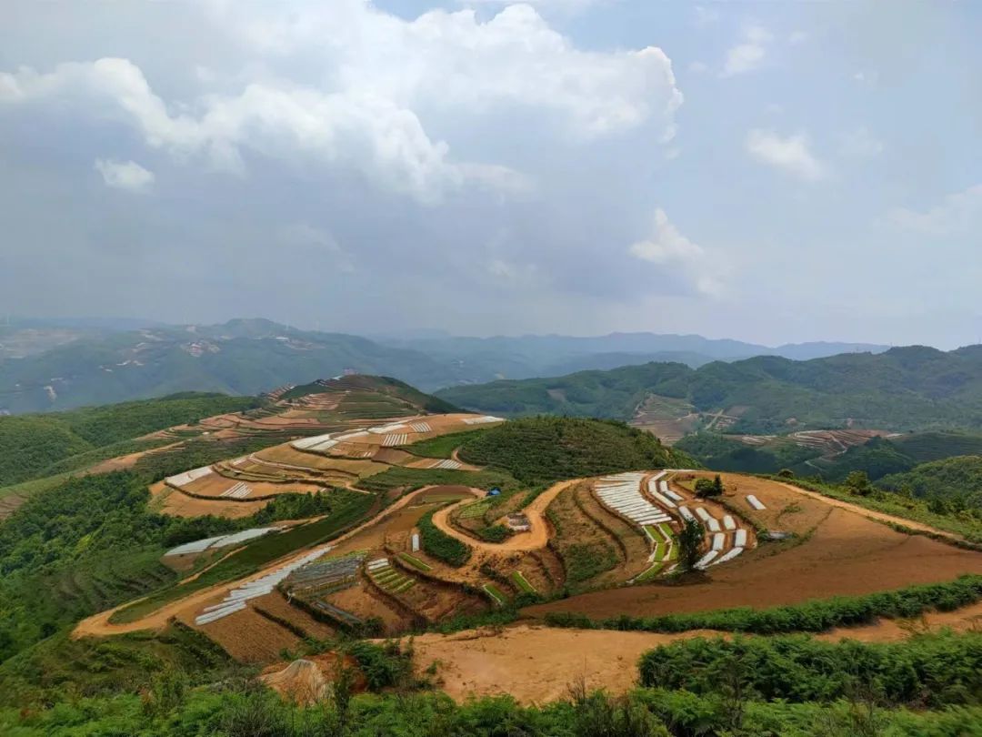 建兴:“七元钱”做大村集体经济“蛋糕”1.jpg 建兴:“七元钱”做大村集体经济“蛋糕”1.jpg