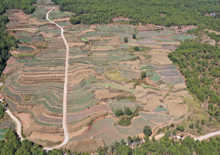 QQ截图20221212204913.png QQ截图20221212204913.png
