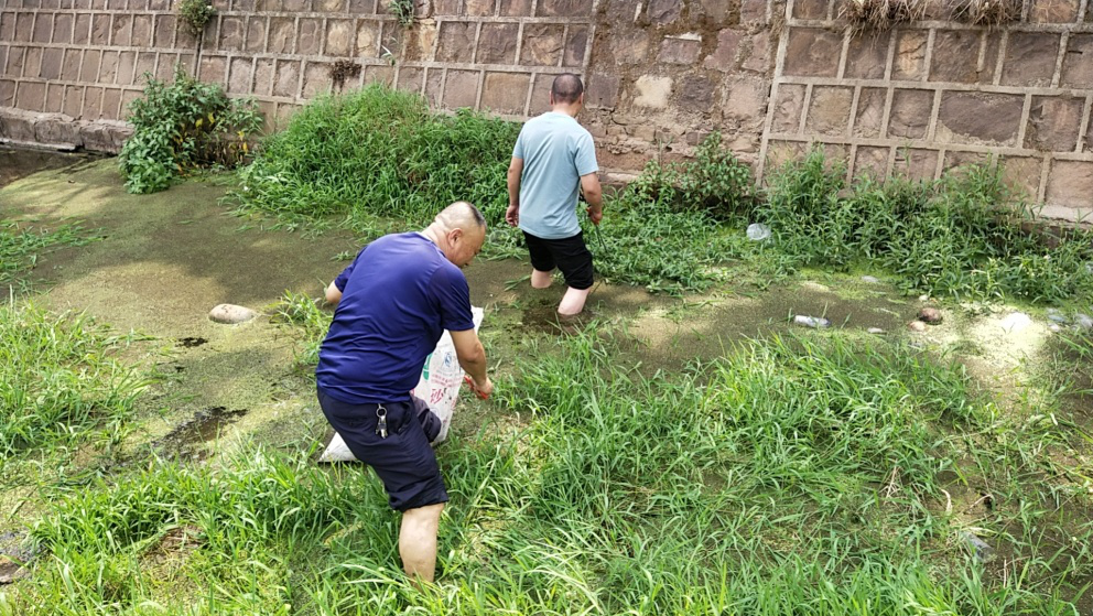 图片8.png 图片8.png