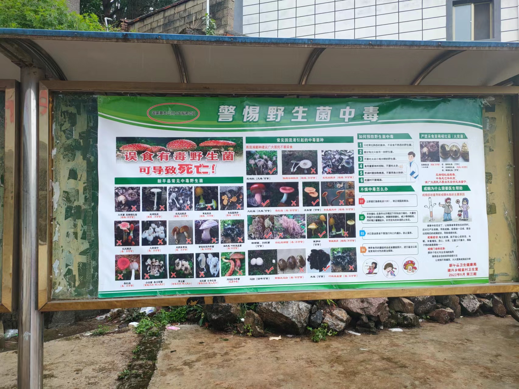 建兴乡帽盒村“四个一”抓牢预防野生菌中毒宣传工作4.jpg