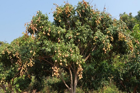 图片71.jpg 图片71.jpg