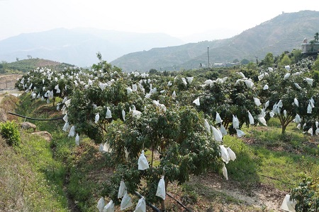 图片73.jpg 图片73.jpg