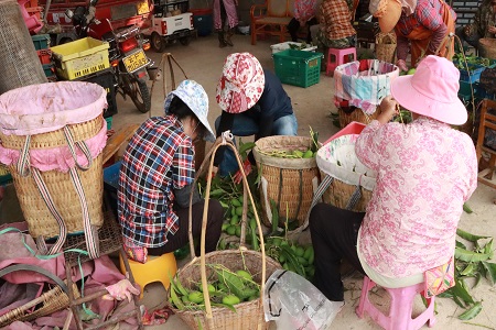 图片88.jpg 图片88.jpg