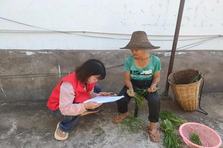 图片11.jpg 图片11.jpg