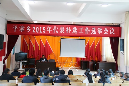12.14平掌乡2015代表补选工作选举会议1