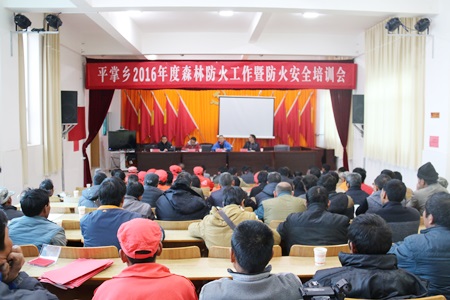 平掌乡2016年度护林防火暨防火安全培训会1