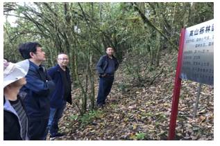 西林大副校长胥辉一行深入磨盘山森林生态定位站调研.jpg