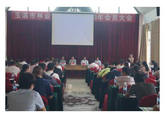 玉溪市林产业协会在新平召开年度会员大会.jpg