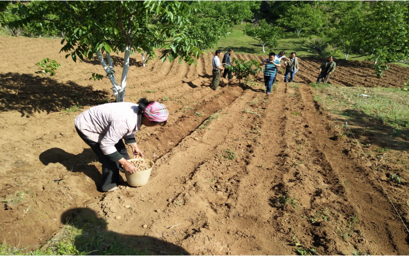 85C9VD10F~EFI)E~TC(KWKF.png 85C9VD10F~EFI)E~TC(KWKF.png