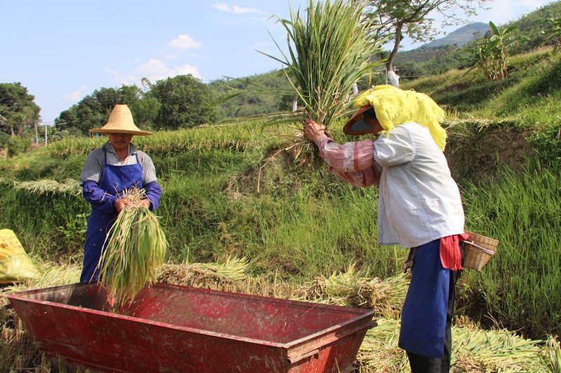 IMG_8546.JPG IMG_8546.JPG