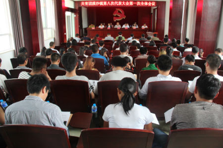 共青团漠沙镇第八次代表大会顺利召开.jpg