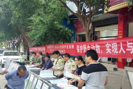 进行集中宣传.png
