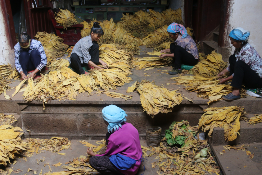 Z0N}QRCPNVR8IKK_SRQDIXU.png Z0N}QRCPNVR8IKK_SRQDIXU.png