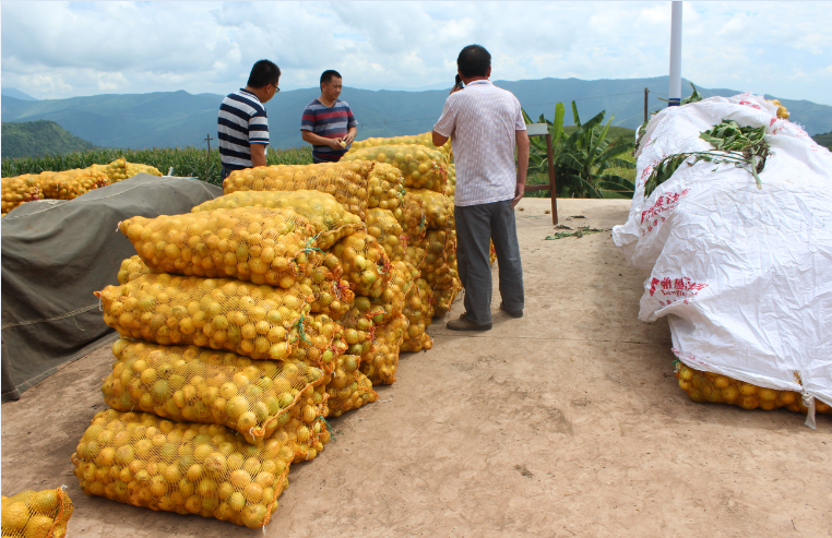 )Y`M_N3LA){1%(6P7$@{()E.png )Y`M_N3LA){1%(6P7$@{()E.png