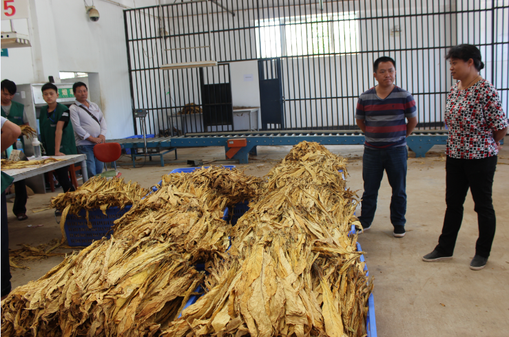 }BV$5SO2O[~J[4LMH6~`~Z5.png }BV$5SO2O[~J[4LMH6~`~Z5.png