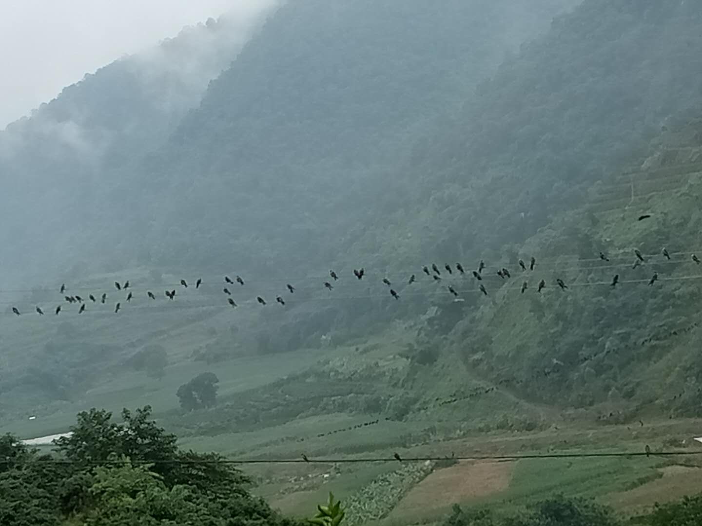 微信图片_20171026210136.jpg