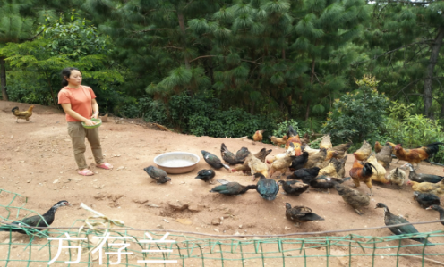 K)11PM`P(H))3Q_76_`ZZ}I.png K)11PM`P(H))3Q_76_`ZZ}I.png