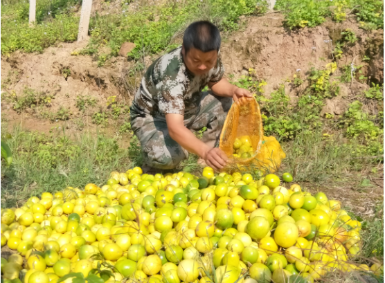 J(O1__9N1VC6~}RUHG~9J6V.png J(O1__9N1VC6~}RUHG~9J6V.png