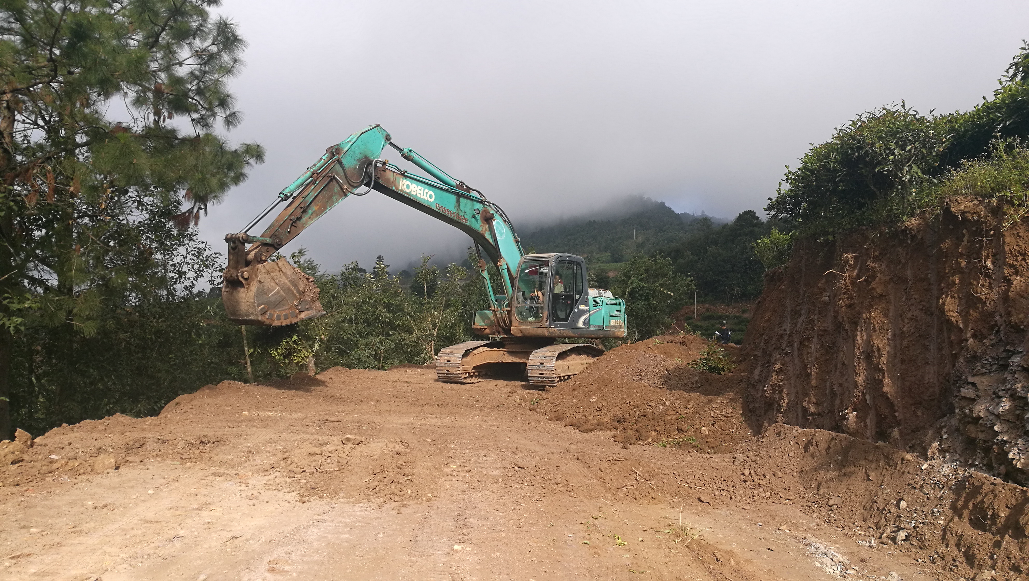 IMG_20171114_101255.jpg IMG_20171114_101255.jpg