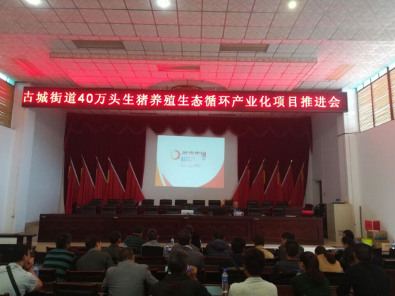 图片12.jpg