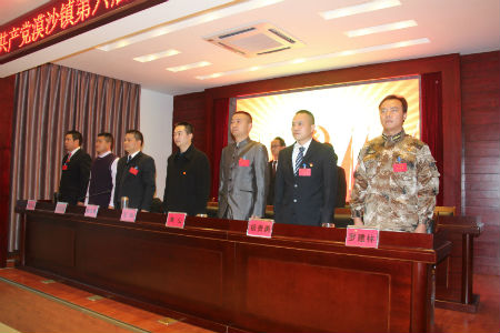 中国共产党漠沙镇第六届代表大会第二次会议开幕.jpg