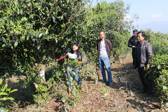 QQ截图20180407164726.png QQ截图20180407164726.png