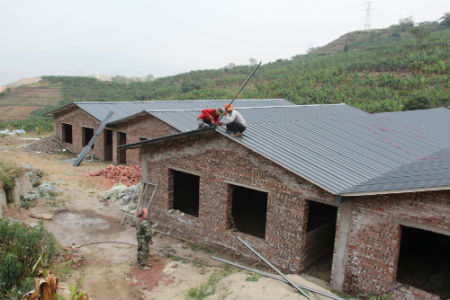 正在建设的养殖场.jpg 正在建设的养殖场.jpg