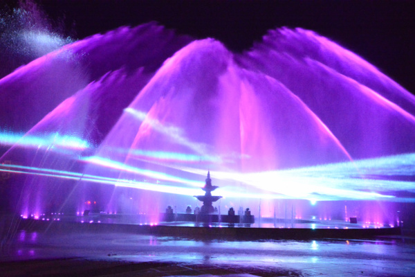 DSC_3348.jpg DSC_3348.jpg