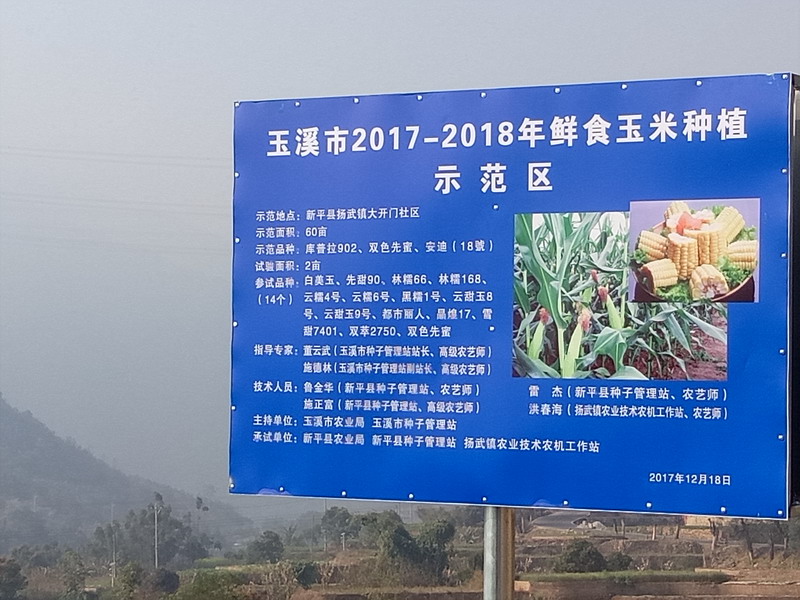 鲜食玉米 (4).jpg