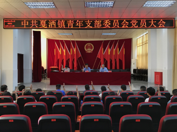 青年党支部1.jpg