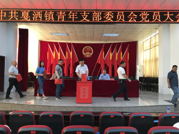 青年党支部4.jpg