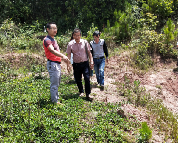 防汛检查1.jpg 防汛检查1.jpg