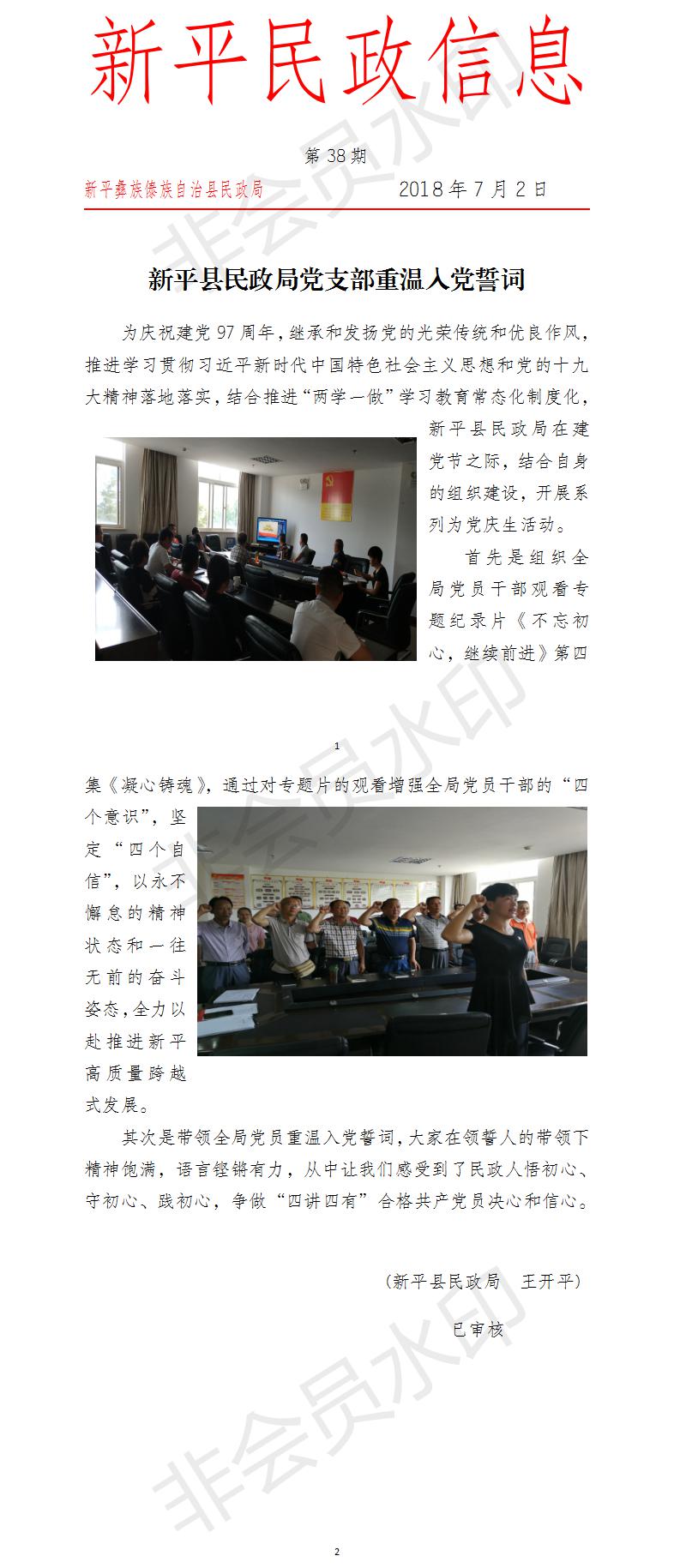 第38期   新平县民政局党支部重温入党誓词.jpg