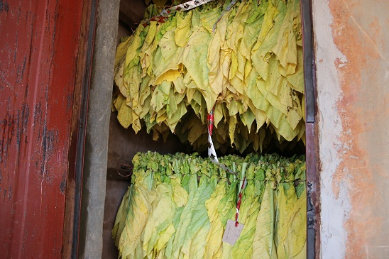 IMG_4888 - 副本.JPG IMG_4888 - 副本.JPG