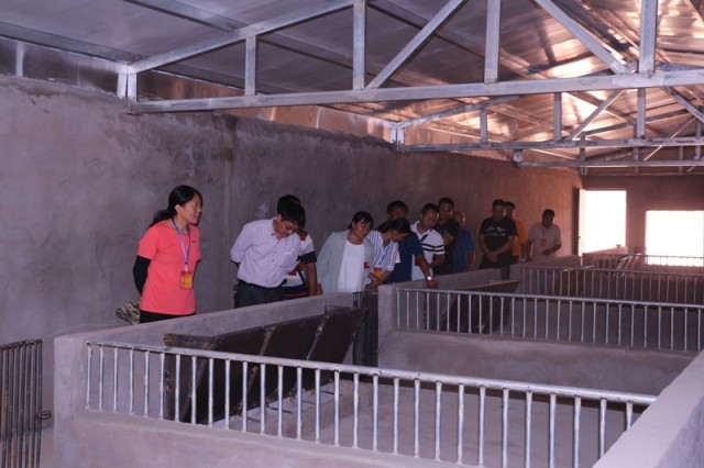 271045375egd.jpg 271045375egd.jpg